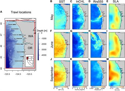 Time-Varying Epipelagic Community Seascapes: Assessing and Predicting Species Composition in the Northeastern Pacific Ocean